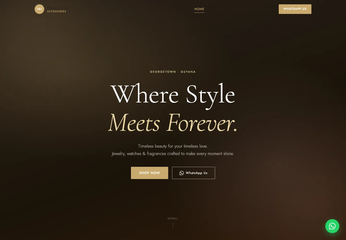Shine & Style Accessories — Ecommerce Catalog Website — desktop homepage screenshot